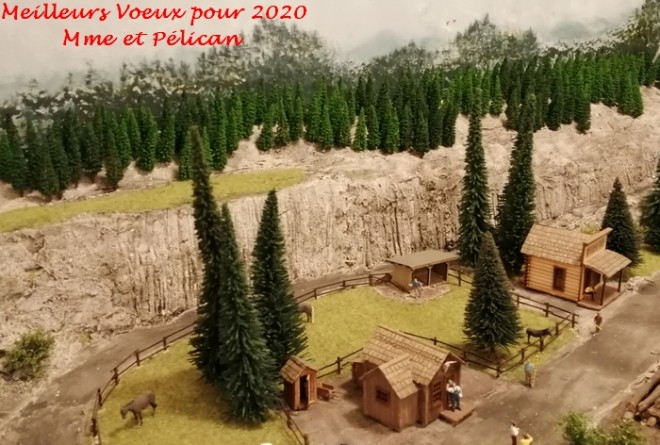 voeux 2020.jpg