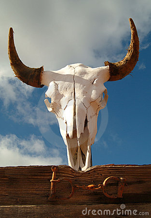crane de boeuf2.jpg