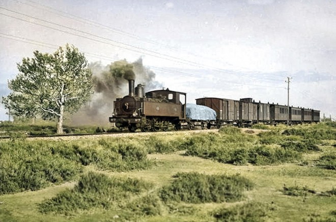 train-camargue.jpg