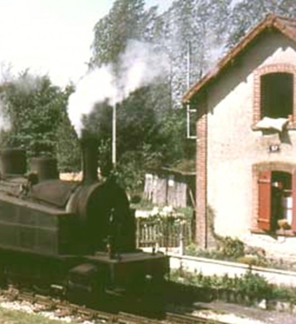 tdf020v.jpg