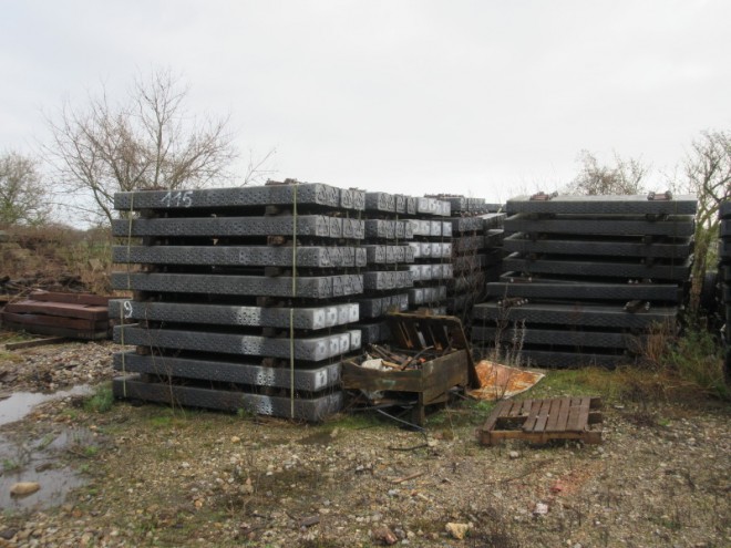 2020 02 13 JOURNEE TRES ARROSEE_06.jpg