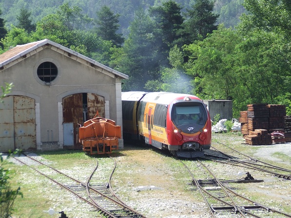 DSCF3131  Annot.jpg