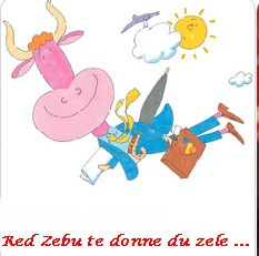 red zebu ailes.jpg