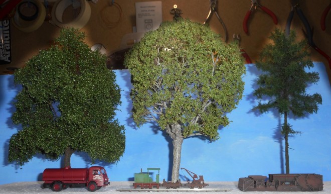 Arbres remarquables (2).JPG