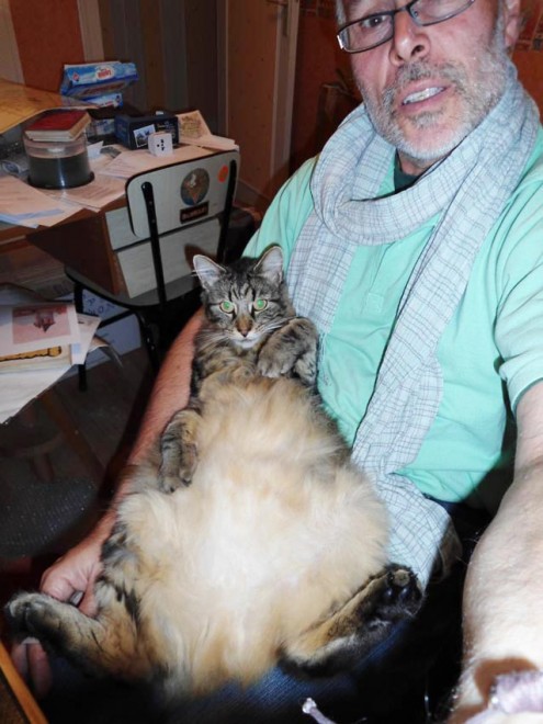 Pirouette le chat.jpg