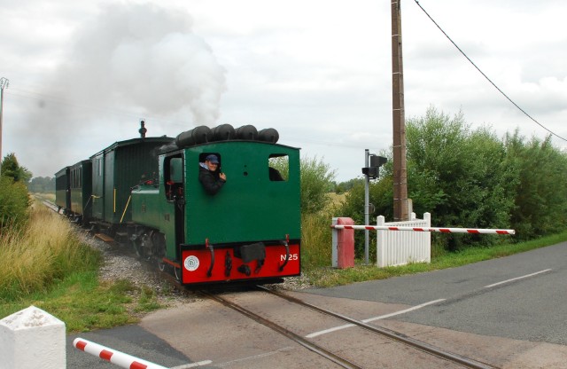 DSC_2117R.jpg