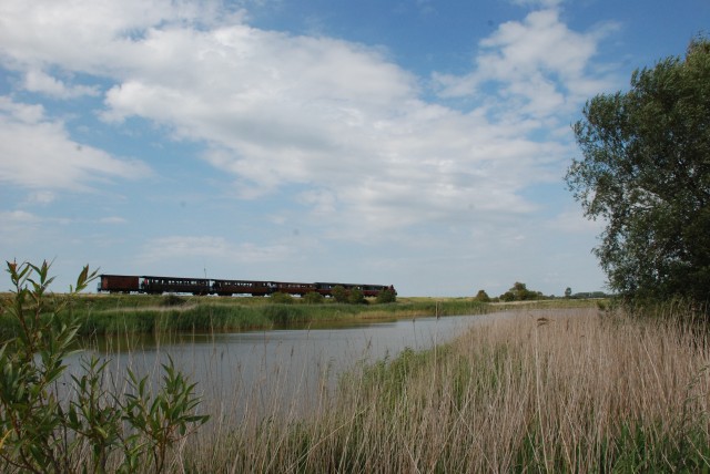 DSC_2256.jpg