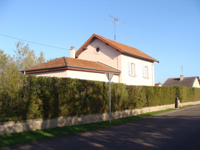 BV.JPG