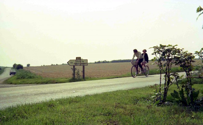 1974033.jpg