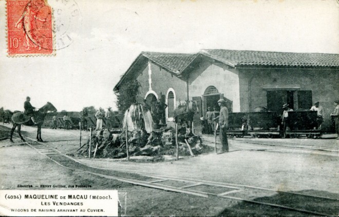 33 - Maqueline de Macau - Les Vendanges - Wagons de raisins.jpg