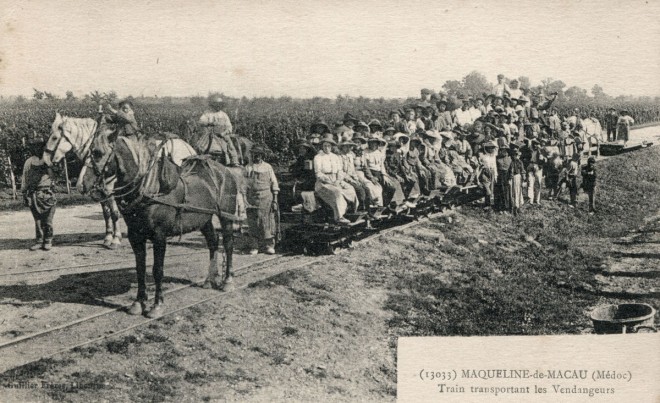 33 - Maqueline-de-Macau - Train transportant les Vendangeurs.jpg