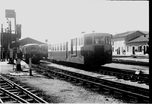 POC 1156.jpg