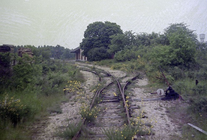 1975-04-612-neginsta.jpg