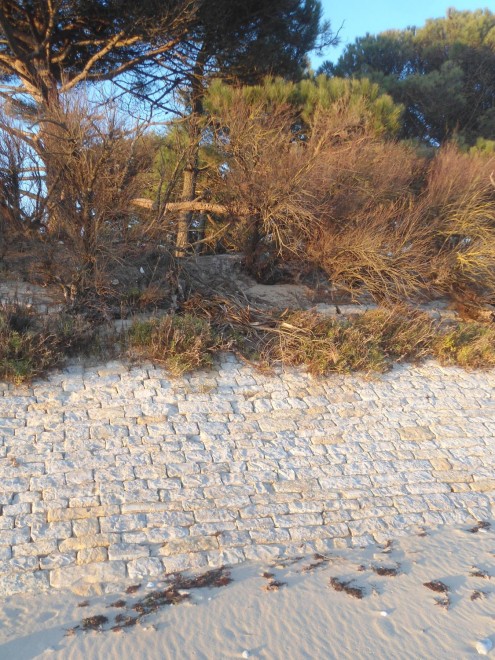 Digue du Martray 1712 - Hiver 2013-2014.jpg