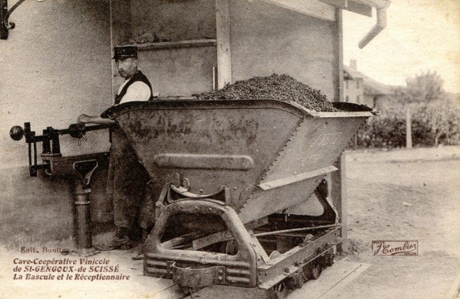 71 - Saint-Gengoux-de-Scissé - Cave Coopérative Vinicole.jpg