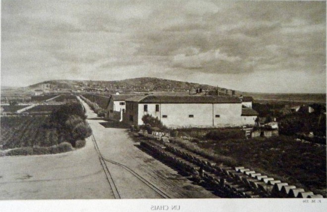 vignoble Listel ancien.jpg