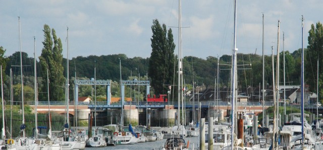 DSC_2475a.jpg