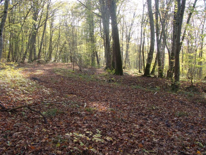 DSC09262.JPG