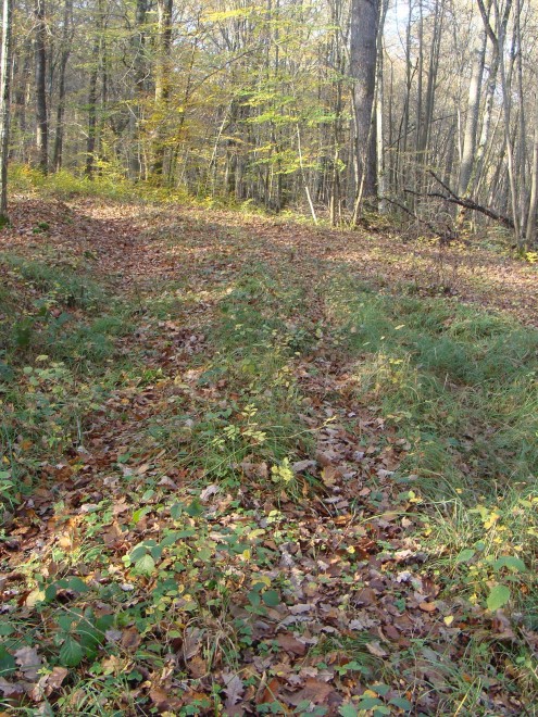 DSC09278.JPG