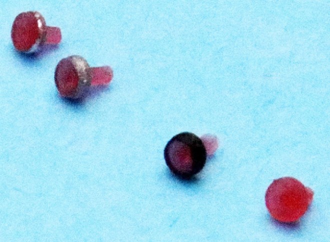 feux VIGNAL - smd2522.jpg