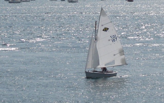 bernard et pelican voile 1.jpg