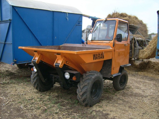 Waran 1501 2009 01.jpg