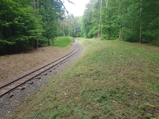 2020-05-25 17.25.22.jpg