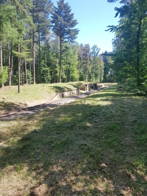 2020-06-01 11.48.13.jpg