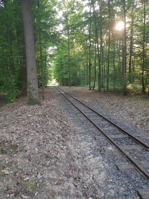 2020-06-02 19.27.34.jpg