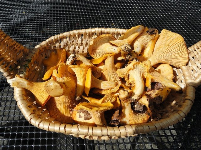 recette7.JPG