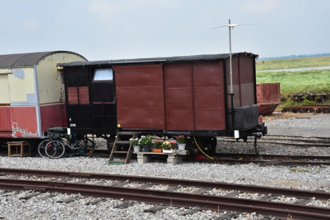 D72_8520.jpg