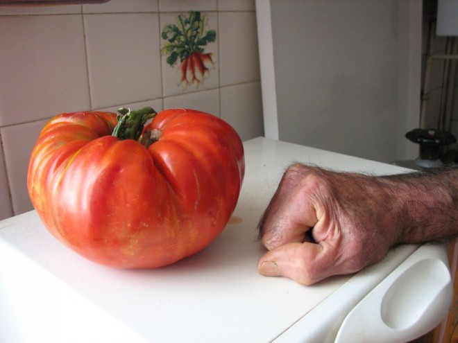tomate-super.jpg