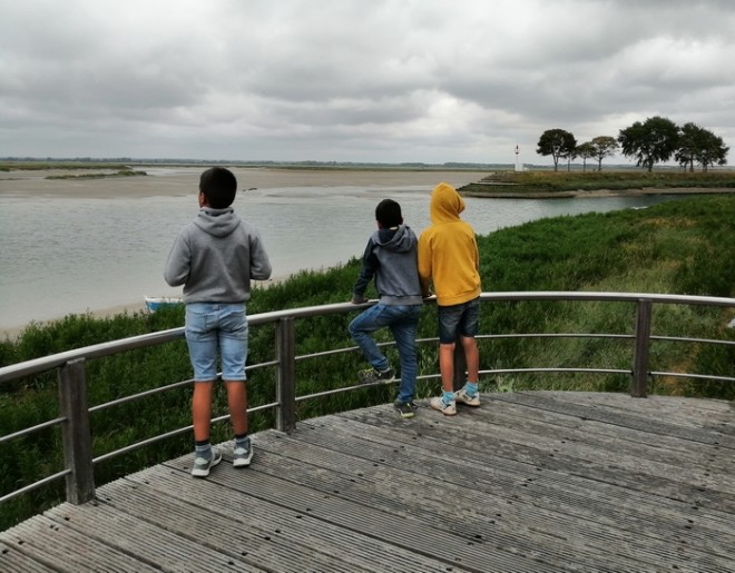 Chemin de fer de la Baie de Somme  File