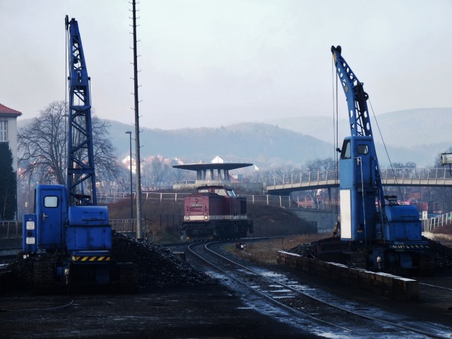 2015 Harz grue 02.jpg