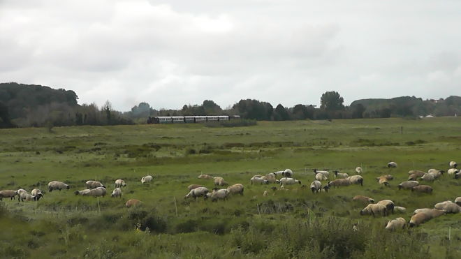 Chemin de Fer de la Baie de Somme VID PanasonicHD 24-08-2020 (1).png