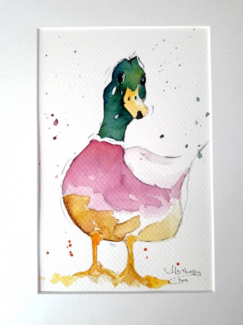 canard colvert 1.jpg