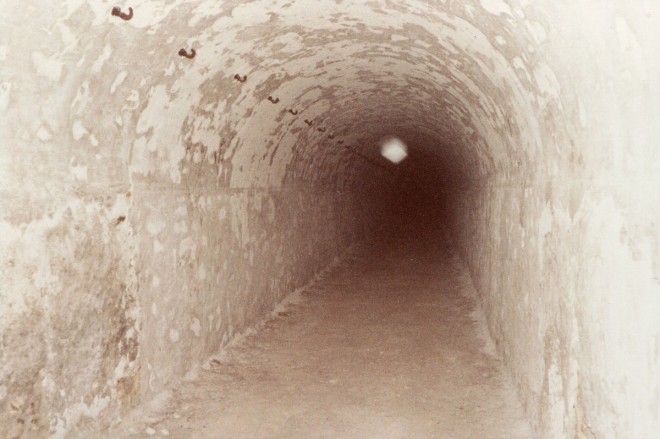 ANNET - Image2.jpg