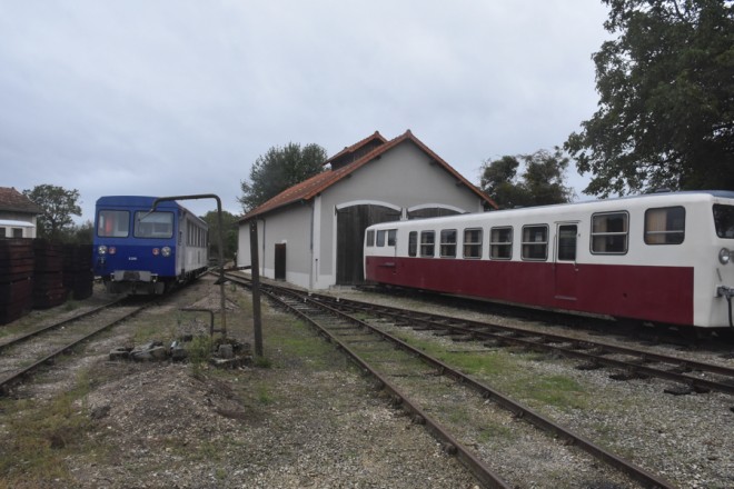D72_9596.jpg
