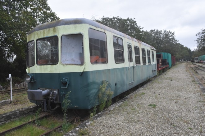 D72_9597.jpg