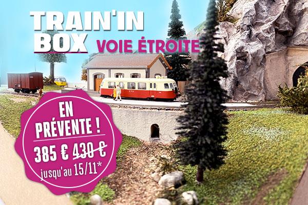 I-Grande-11738-train-in-box-voie-etroite.net.jpg