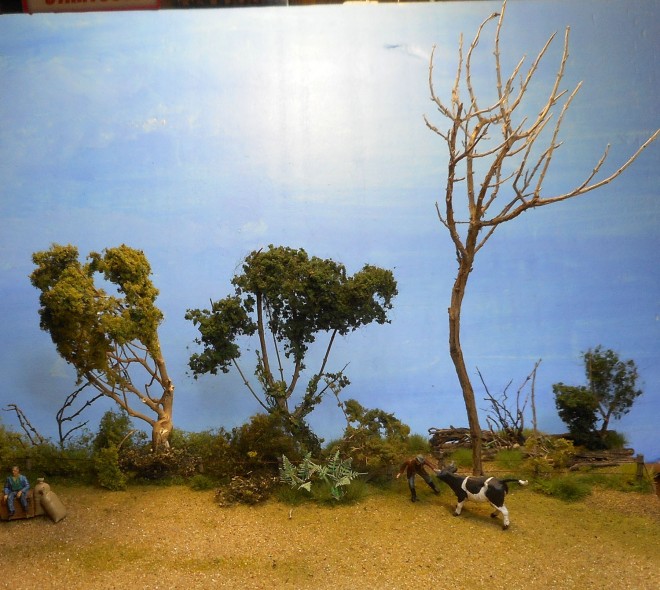 DSCN6133.JPG