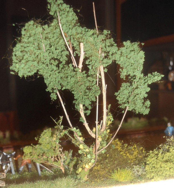 DSC00077-1.jpg