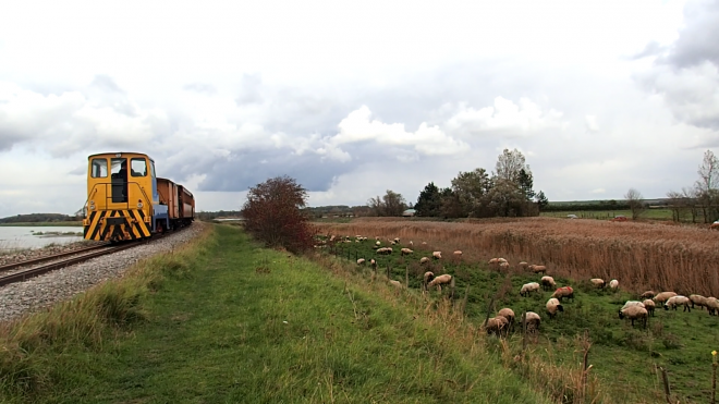 Chemin de Fer de la Baie de Somme VID OlympusHD 18-10-2020 (62).png