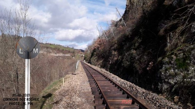 20210125_140540.jpg