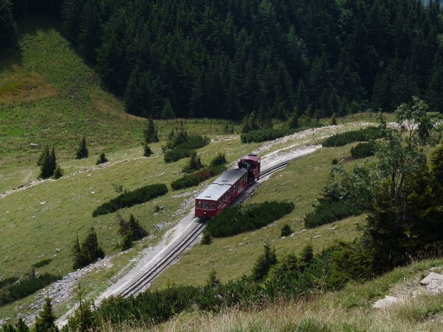 951Schafberg.JPG