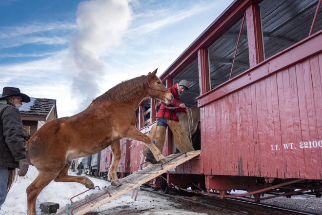 Durango Horses 1.jpg