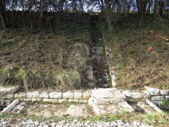 drainCFVO.jpg