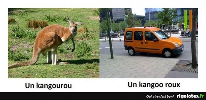Kangoo roux.jpg