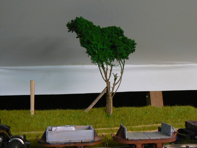 P1160693.JPG