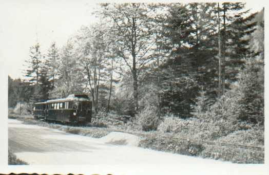 celles.jpg